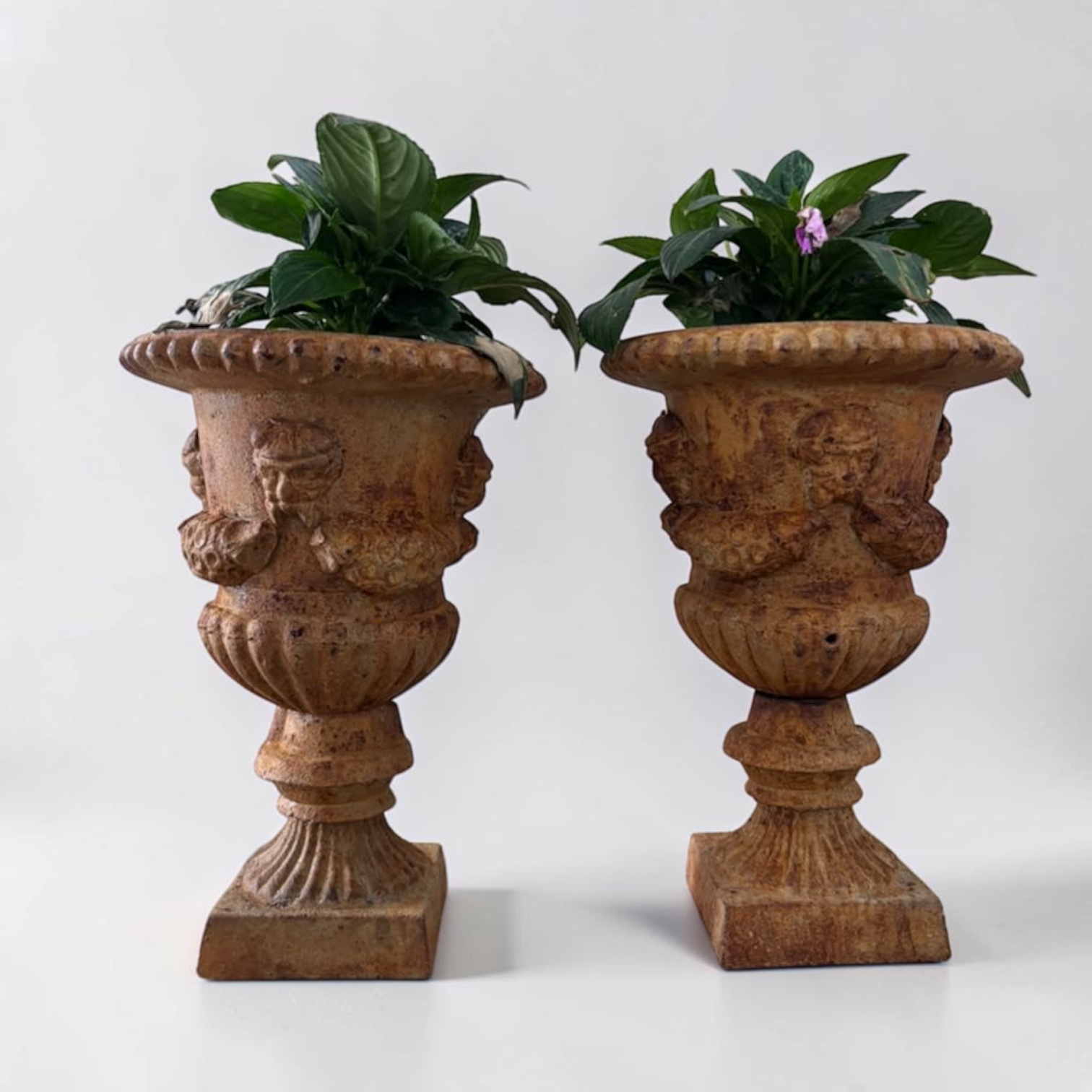 Pair of 19th century cast iron urns